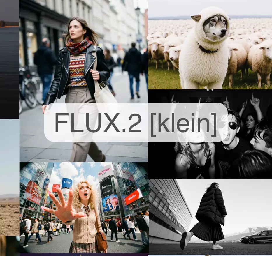 FLUX.2 klein 9B KV (Image to Image) GGUF
