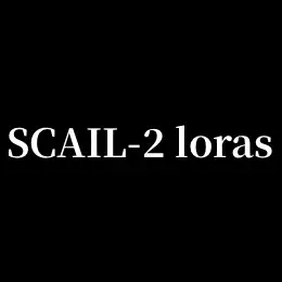 SCAIL_2_loras