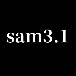 sam3.1